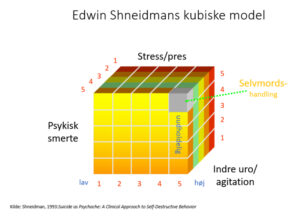 Sneidmanns kubistiske model